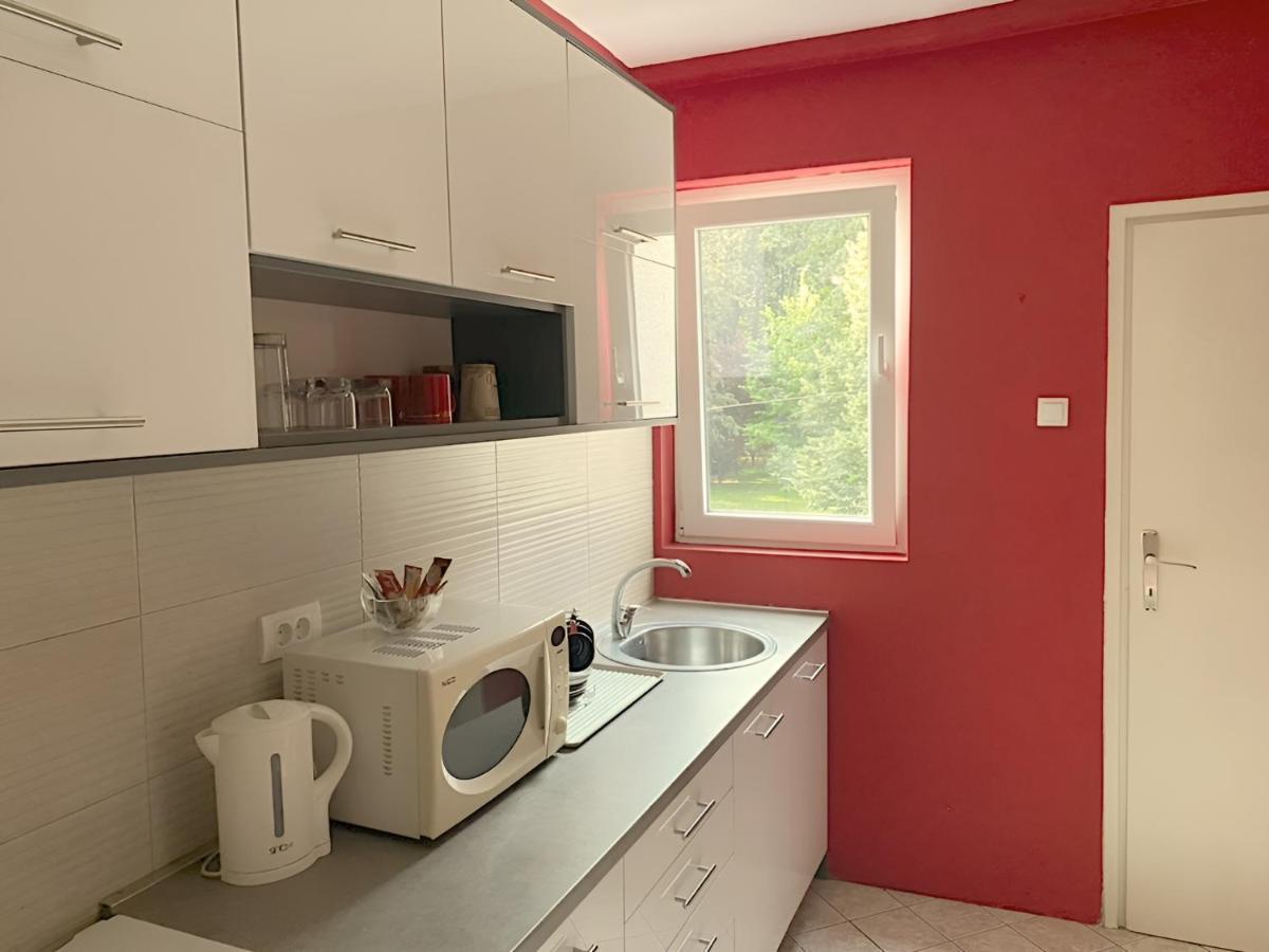 Central Park Apartment Čačak Esterno foto