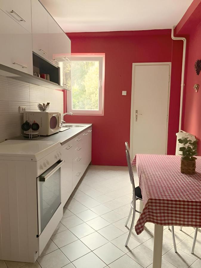 Central Park Apartment Čačak Esterno foto